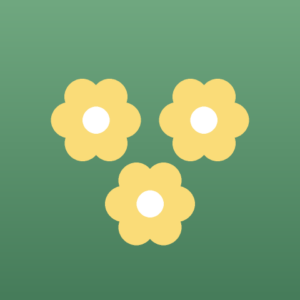 Three yellow sugar flowers on a green ground